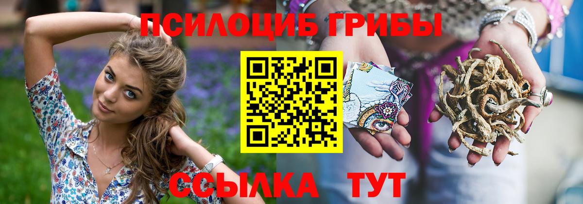 Уссурийск  Галлюциногенные грибы MAGIC MUSHROOMS  закладка  Вход с VPN 