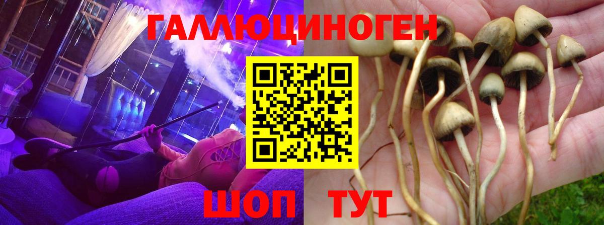Псилоцибиновые грибы ЛСД Уссурийск